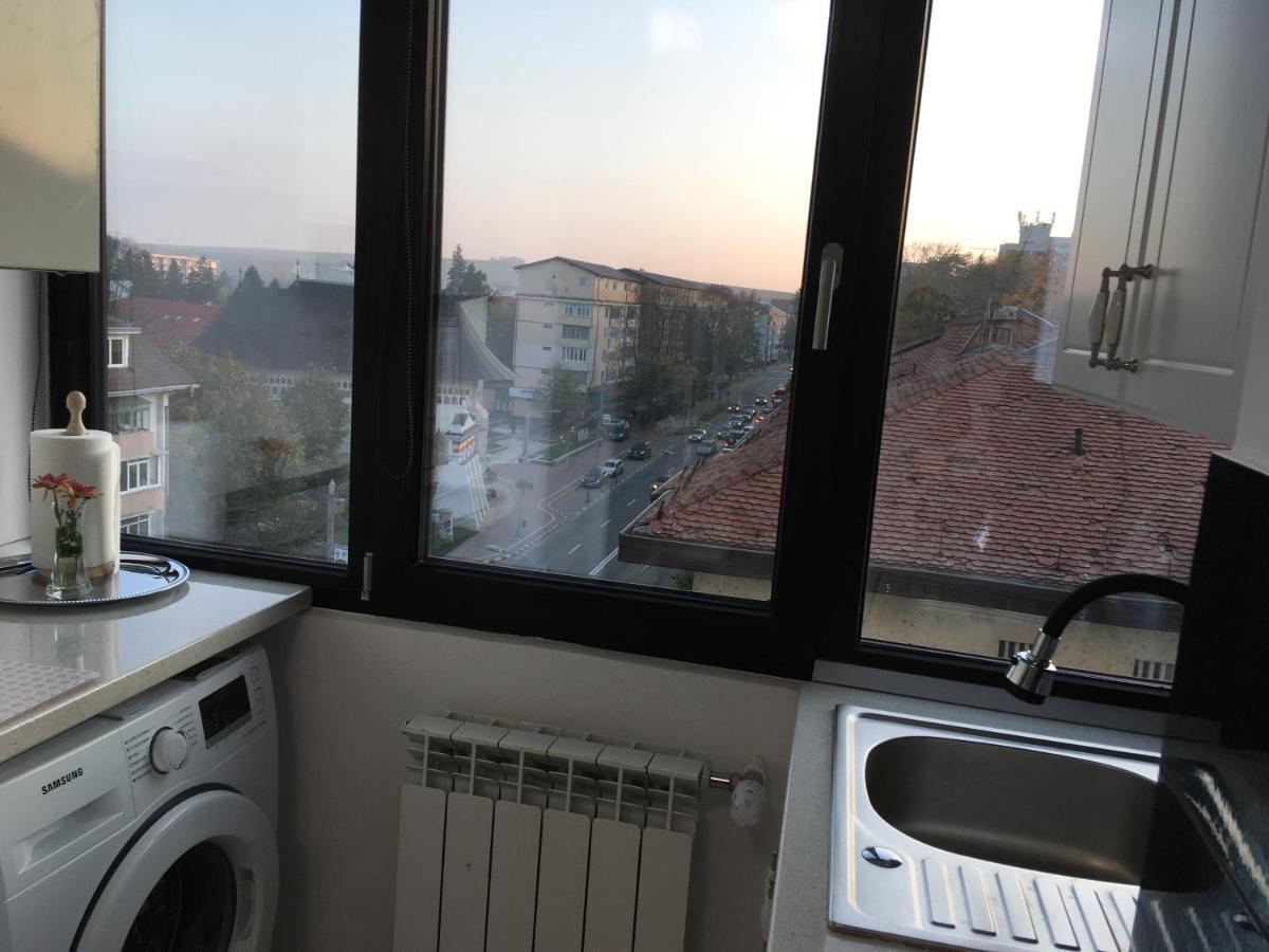 Ferienwohnung Splendid View Suceava Exterior foto